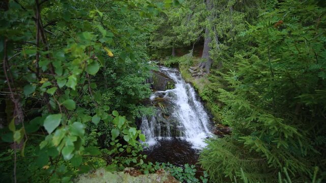 Revealing small Waterfall between trees in Menzenschwander cascade in Black Forest Germany Schwarzwald