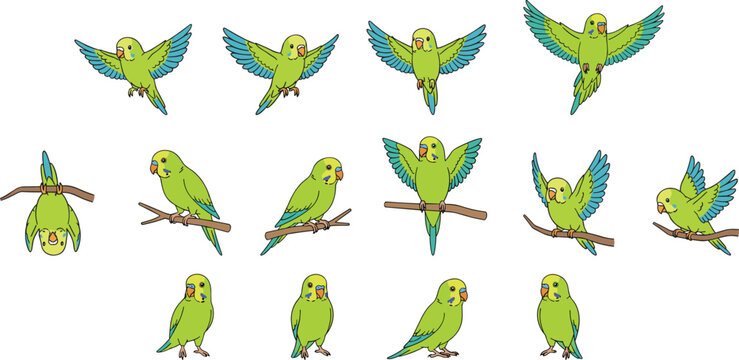 Cartoon vector illustration of colorful parakeets in multiple poses including flying, perching, standing, and playful upside‑down actions
