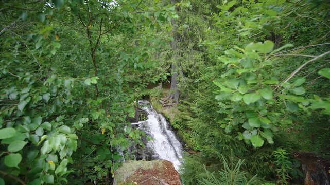 Waterfall between trees in Menzenschwander cascade in Black Forest Germany Schwarzwald