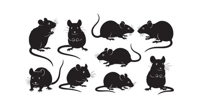 A group of black silhouette images of mice in different positions and angles isolated on transparent background