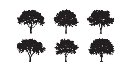 Six black silhouette trees on white background for design and decoration isolated on transparent background © vimi