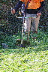Obraz premium Spring gardening work with man operating brush cutter in yard. Seasonal garden maintenance concept.