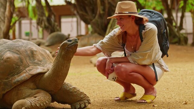 Woman in hat pet the head of a rare, giant turtle on the tropical island of Mauritius