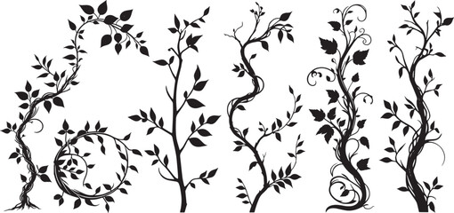 silhouette Ivy flower set, Ivy Vector, climbing ivy creeper branch isolated on white background vector illustration © shahzad