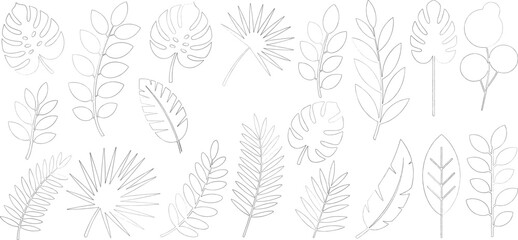 Botanical set of flowers, branches, and leaves. line art illustrations of various tropical foliage, including monstera and fern leaves. vector © shahzad
