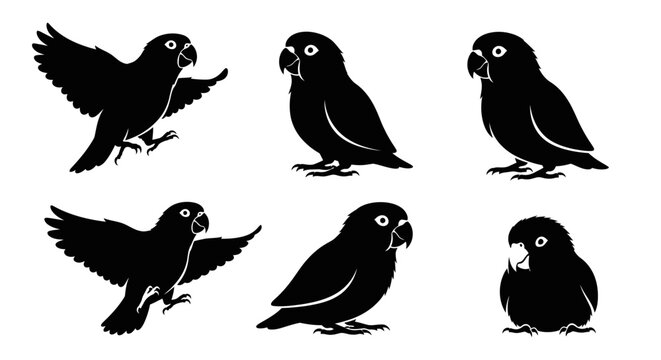 Set of six black silhouette lovebird parrots in different poses, isolated on white background