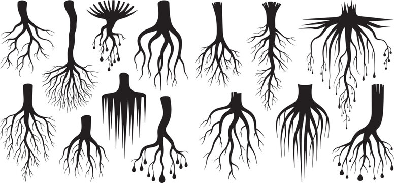 Tree roots silhouettes set. Nature root silhouettes, stammer different plants., vector illustration