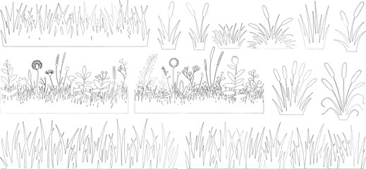 set of shrubs line cad, Ground cover. Illustration for elevation architectural element, side view, grass section. vector illustration © shahzad