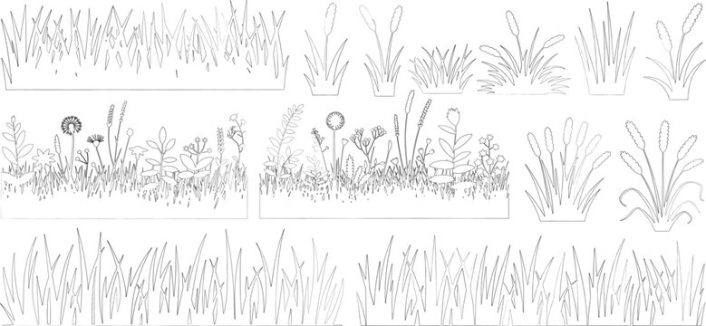 set of shrubs line cad, Ground cover. Illustration for elevation architectural element, side view, grass section. vector illustration