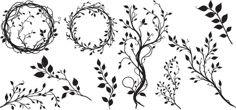 vine plant jungle climbing set isolated on transparent background vector illustration