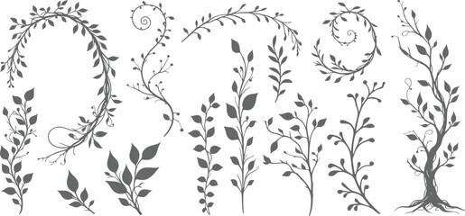 Jungle liana with leaves silhouette set, diffrent type of jungle lena vector illustration © shahzad