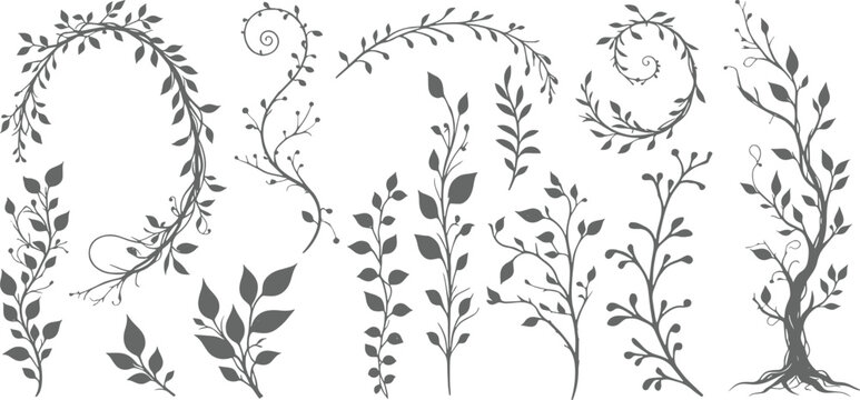 Jungle liana with leaves silhouette set, diffrent type of jungle lena vector illustration