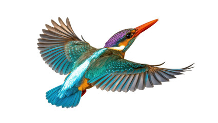Fototapeta premium Vibrant Kingfisher bird in graceful flight, a stunning tropical wildlife spectacle