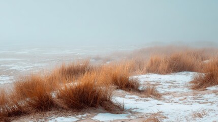Fototapeta premium Spring snow ice thaw, end of Winter Season, hope, fresh start. A winter landscape with snowcovered grasses and a misty sky. The grasses are a mix of brown and white, contrasting with the white snow.