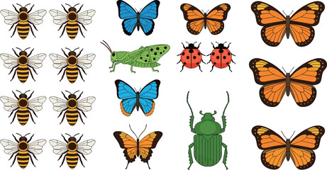 butterfly grasshopper ladybug dragonfly and bugs fSet  © Vector Design Hub