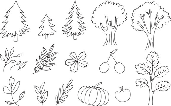 Nature elements set with pine trees deciduous foliage and garden fruits in simple line art drawing. Vector illustration