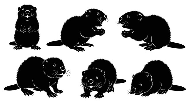 Set of six black silhouettes of groundhogs in various poses on a white background