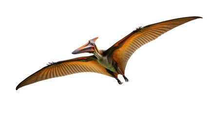 Detailed illustration of a majestic Pterodactyl, an ancient flying reptile in dynamic flight © Natalia
