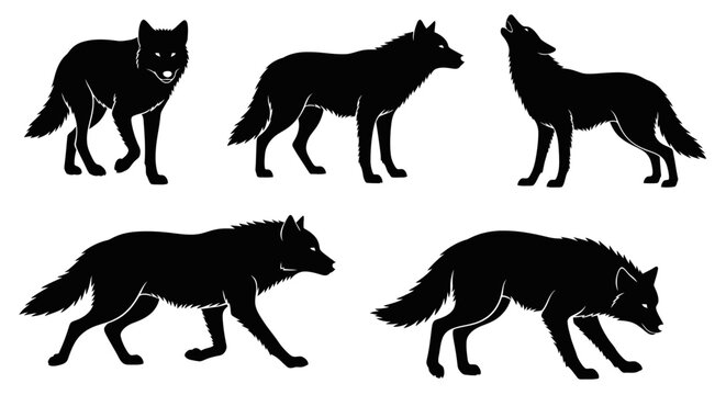 Silhouette of Five Wolves in Different Poses: Standing, Walking, Howling, and Crouching