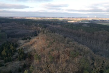 Vast coniferous forest landscape under cloudy sky at sunset. © Rafał