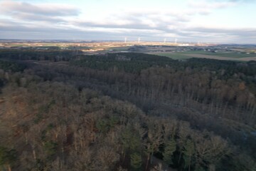 Vast coniferous forest landscape under cloudy sky at sunset. © Rafał