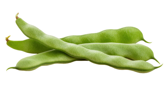 Vibrant green fava bean pods, raw and organic, perfect for healthy culinary dishes
