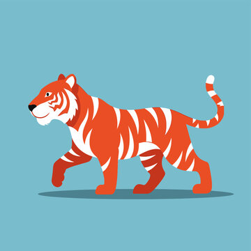 Tiger Walking Orange Animal.
