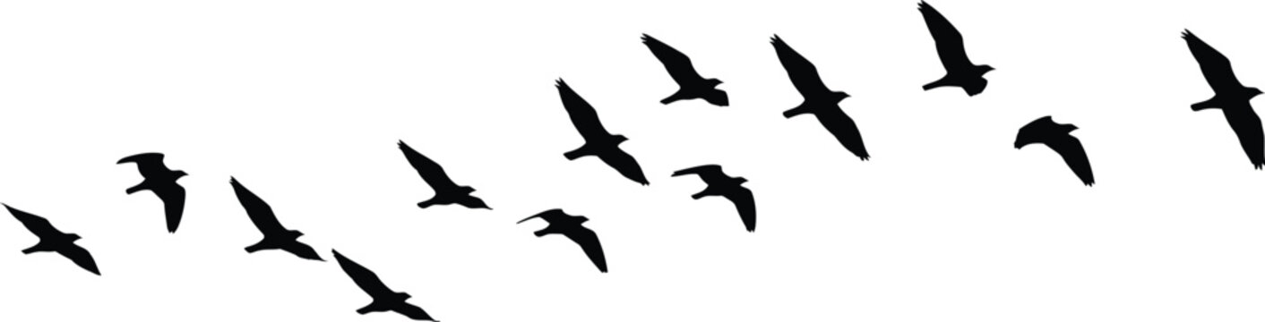 A flock of birds flying in a v formation against a white sky