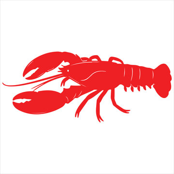 crayfish on a white background