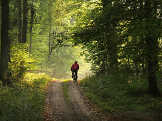 Obraz premium A man rides a bicycle along a dirt road through an autumn forest. Surrounded by trees and vegetation, the view towards the sunset is full of autumn colors.