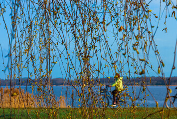 pąki listków wczesna wiosna © Arek mały