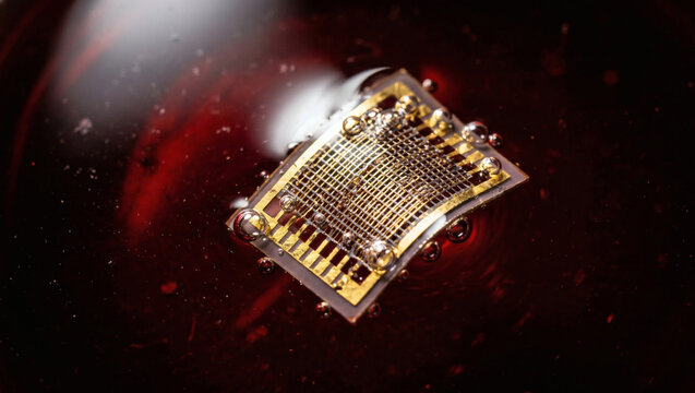 Macro of a flexible gold microchip sensor submerged in a thick dark red liquid with bubbles