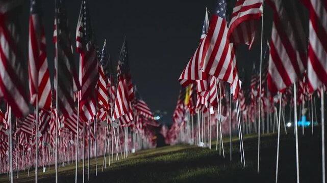 Field of American flags waving at night in Malibu, California, USA with human silhouette in foreground, illuminated memorial scene honoring September 11