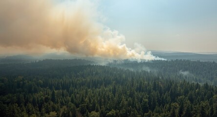 Fototapeta premium Smoke rising from an expansive dense forest canopy viewed from the sky with haunting beauty