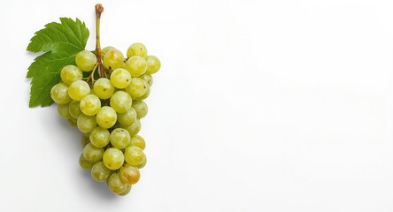 Fototapeta premium Green grape bunch isolated on minimalist white background with copy space