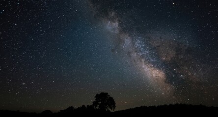 Fototapeta premium Grainy long exposure image of milky way and tree silhouette at night