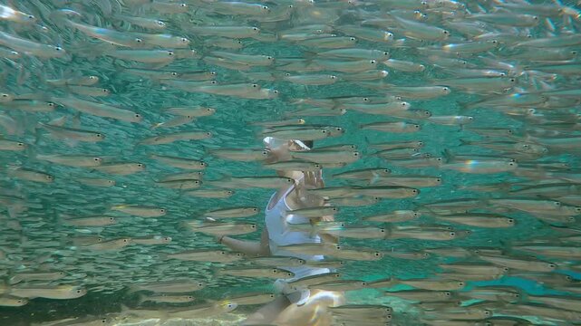 Pretty girl in white free-diving gear sits on seabed, fully enclosed by vast, circular chain of Silversides, and it seems she's conducting this orchestra of many-thousands of small fish being