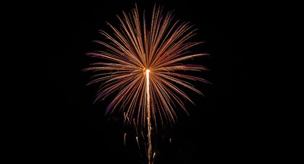 Obraz premium Festive fireworks show brightening night sky symbolizing freedom celebration with text overlay area