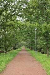Pathway shaded by trees connecting neighborhoods to landmarks and parks © diczman