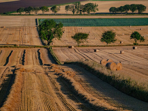 Aerial View of Harvested Patchwork Fields with Round Bales and Trees, Scotland