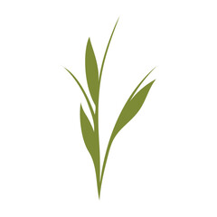 Fototapeta premium Minimalist green plant stem with several leaves depicted growing upwards. The simple graphic element is isolated against a clean white background, representing nature growth.