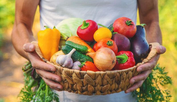 A man farmer holds vegetables in his hands. Selective focus.