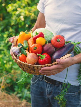 A man farmer holds vegetables in his hands. Selective focus.