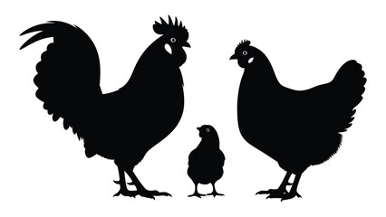 A rooster and hen with a chick standing together © SILHUETTECHEMBER