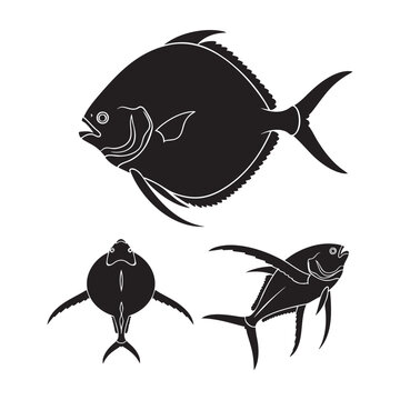 Opah Three Pose Round Disc Sickle Fins Silhouette Vector Set