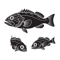 Fototapeta premium Orange Roughy Three Pose Deep Sea Oval Silhouette Vector Bundle