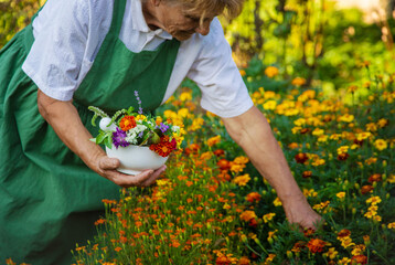 The woman collects medicinal herbs and flowers. Selective focus.