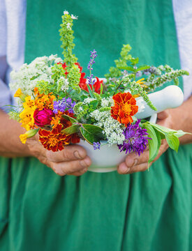 The woman collects medicinal herbs and flowers. Selective focus.