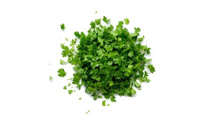 Naklejka premium Fresh parsley chopped into small pieces on white background