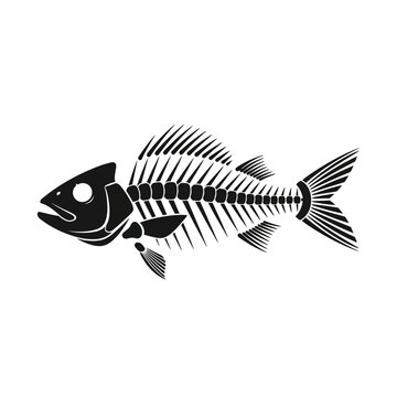Fish skeleton side view illustration.